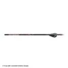Carbon Express Sable RZ Fletched Arrow (6-Pack) 1 Carbon Express Sable RZ Fletched Arrow (6-Pack) -Archery Equipment Store 1031303