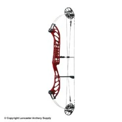 PSE Dominator Duo 35 Compound Target Bow (M2) 13 PSE Dominator Duo 35 Compound Target Bow (M2) -Archery Equipment Store 1033117 blackcherry