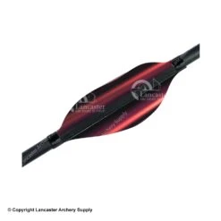 Spider Vanes 1.8" Medium Recurve Vanes -Archery Equipment Store 1240026 red