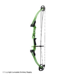 Genesis Archery Mini Genesis Bow (Colors) -Archery Equipment Store 1570004 green