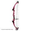 Genesis Archery Mini Genesis Bow (Colors) -Archery Equipment Store 1570004 red
