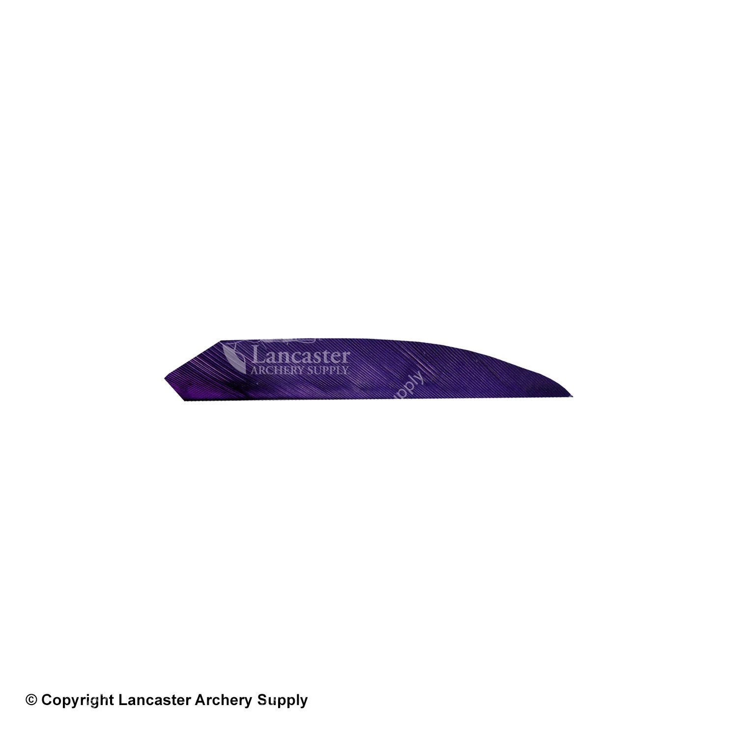 Ozark 2" Target Maxx Field Solid Color Feather 12 Ozark 2" Target Maxx Field Solid Color Feather - Image 10