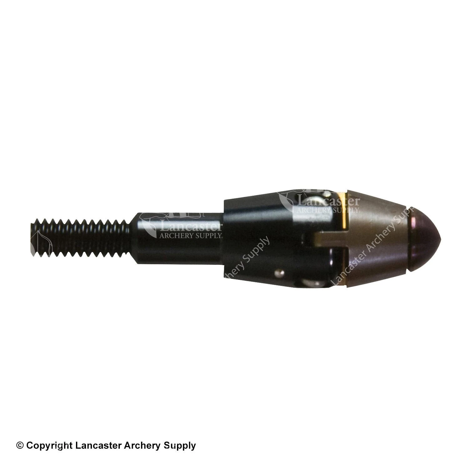 Easton V3 Expandable Varmint Points 4 Easton V3 Expandable Varmint Points - Image 2