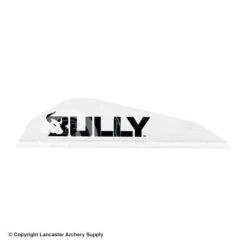 Easton Bully Boattail Vanes 3" (100 Pack) 11 Easton Bully Boattail Vanes 3" (100 Pack) -Archery Equipment Store 2070895 white