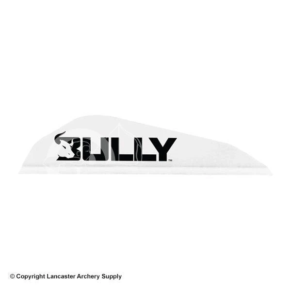 Easton Bully Boattail Vanes 3" (100 Pack) 7 Easton Bully Boattail Vanes 3" (100 Pack) - Image 5