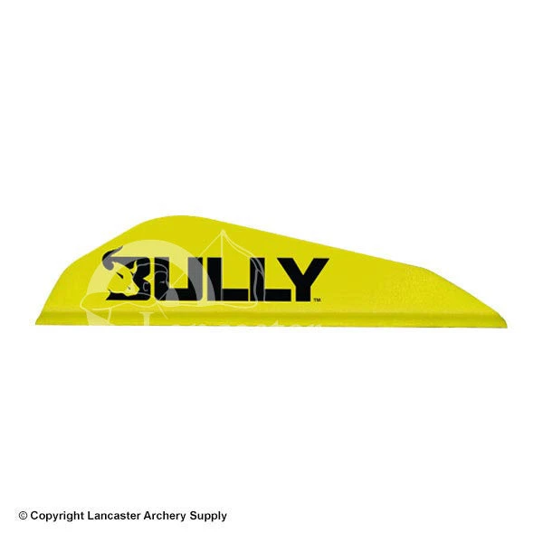 Easton Bully Boattail Vanes 3" (100 Pack) 3 Easton Bully Boattail Vanes 3" (100 Pack)