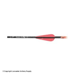 Carbon Express Thunder Express Arrow