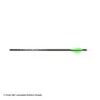 Carbon Express Predator II Fletched Arrow (Vanes) -Archery Equipment Store 2250311 vanes
