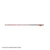 Carbon Express Maxima RED Fletched Arrows 2 Carbon Express Maxima RED Fletched Arrows -Archery Equipment Store 2250555 arrow