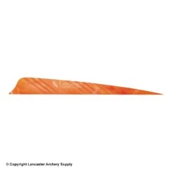 Gateway 5" Shield Tre Camo Feather -Archery Equipment Store 2270001 tre orange white