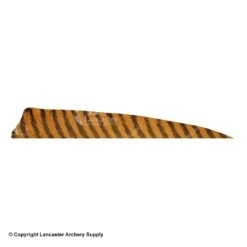 Gateway 5" Shield Barred Feather -Archery Equipment Store 2270004 brown
