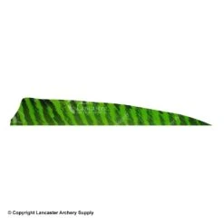 Gateway 5" Shield Barred Feather -Archery Equipment Store 2270004 chartreuse