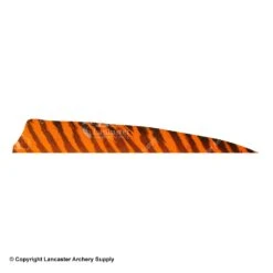 Gateway 5" Shield Barred Feather -Archery Equipment Store 2270004 orange
