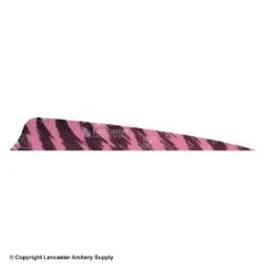 Gateway 5" Shield Barred Feather -Archery Equipment Store 2270004 pink