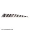 Gateway 5" Shield Barred Feather -Archery Equipment Store 2270004 white