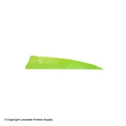 Gateway 4" Shield Feather -Archery Equipment Store 2270007 chartreuse