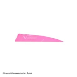 Gateway 4" Shield Feather -Archery Equipment Store 2270007 pink