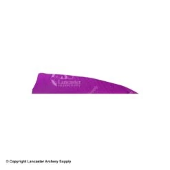 Gateway 4" Shield Feather -Archery Equipment Store 2270007 purple