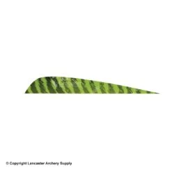 Gateway 5" Parabolic Barred Feather -Archery Equipment Store 2270013 chartreuse