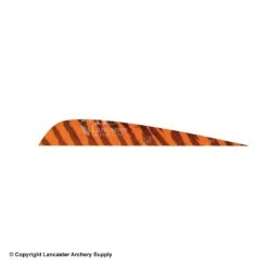 Gateway 5" Parabolic Barred Feather -Archery Equipment Store 2270013 orange