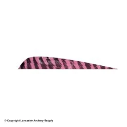 Gateway 5" Parabolic Barred Feather -Archery Equipment Store 2270013 pink