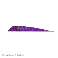 Gateway 5" Parabolic Barred Feather -Archery Equipment Store 2270013 purple