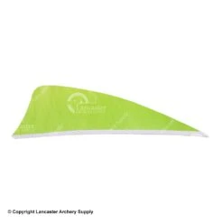 Gateway 2 1/4" Shield Feather -Archery Equipment Store 2270021 chartreuse