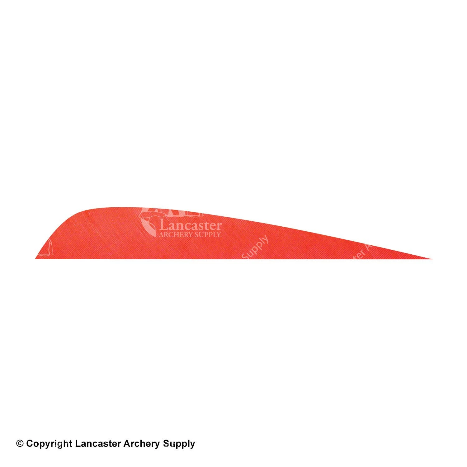 Gateway 4" Parabolic Feather 4 Gateway 4" Parabolic Feather - Image 2