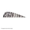 Gateway 3" Parabolic Barred Feather 1 Gateway 3" Parabolic Barred Feather -Archery Equipment Store 2270031 white