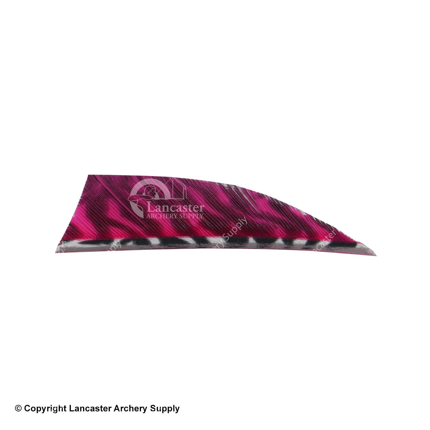 Gateway 2" Rayzr Printz Feather 10 Gateway 2" Rayzr Printz Feather - Image 8