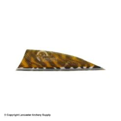 Gateway 2" Rayzr Printz Feather 14 Gateway 2" Rayzr Printz Feather -Archery Equipment Store 2270057 yellow