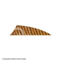 Gateway 2" Rayzr Barred Feather (Left Wing) -Archery Equipment Store 2270061 brown