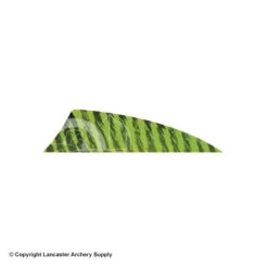 Gateway 2" Rayzr Barred Feather (Left Wing) -Archery Equipment Store 2270061 chartreuse