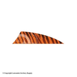 Gateway 2" Rayzr Barred Feather (Left Wing) -Archery Equipment Store 2270061 orange