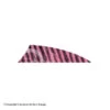 Gateway 2" Rayzr Barred Feather (Left Wing) 2 Gateway 2" Rayzr Barred Feather (Left Wing) -Archery Equipment Store 2270061 pink
