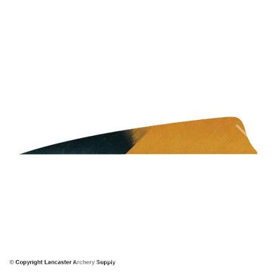 Gateway 5" Shield Hann-Bun Kuro Feather 6 Gateway 5" Shield Hann-Bun Kuro Feather - Image 4