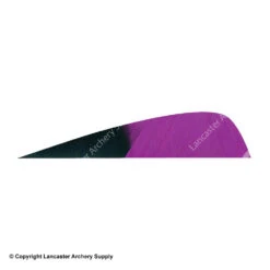 Gateway 4" Parabolic Hann-Bun Kuro Feather -Archery Equipment Store 2270073 purple