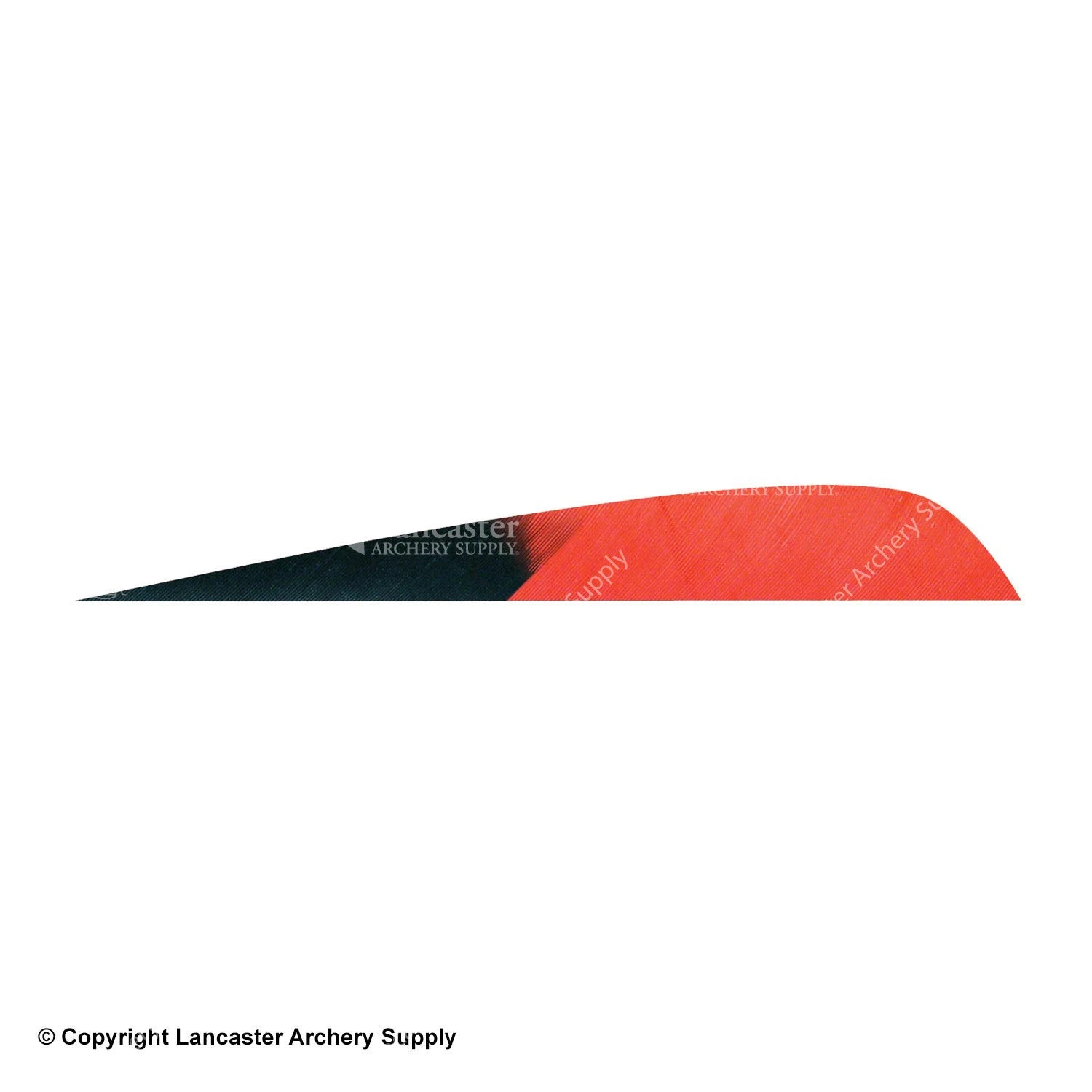 Gateway 5" Parabolic Hann-Bun Kuro Feather 4 Gateway 5" Parabolic Hann-Bun Kuro Feather - Image 2