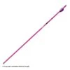 Gold Tip Pink Fiberglass Youth Arrow 1 Gold Tip Pink Fiberglass Youth Arrow -Archery Equipment Store 2320222