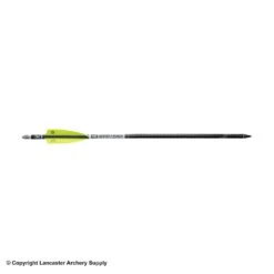 Archery Equipment Store -Archery Equipment Store 2530259 arrow