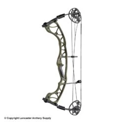 2020 Hoyt Torrex Compound Bow -Archery Equipment Store 2561094 ambush