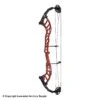 2021 Hoyt Altus 38 Compound Target Bow DCX Cam (Clearance X1033002) -Archery Equipment Store 2561104 red b98a0041 e937 4a45 8741 20a07f244b34