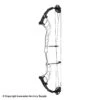 2021 Hoyt Altus 38 Compound Target Bow DCX Cam (Clearance X1033080) -Archery Equipment Store 2561104 white
