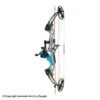 Fin-Finder F31 Compound Bow W/ RTF Bowfishing Package 1 Fin-Finder F31 Compound Bow W/ RTF Bowfishing Package -Archery Equipment Store 2760173