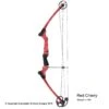 Genesis Archery Original Genesis Bow (Colors) 2 Genesis Archery Original Genesis Bow (Colors) -Archery Equipment Store 3110064 redcherry