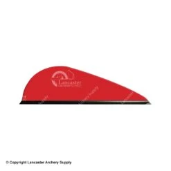 Q2i Predator-X Vanes -Archery Equipment Store 3350039 red 23391f0a 8b4f 4c3e b63a 287e512d0e84