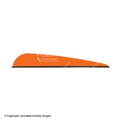 Q2i DV-X 4.0" Vanes -Archery Equipment Store 3350040 orange
