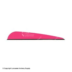Q2i DV-X 4.0" Vanes -Archery Equipment Store 3350040 pink