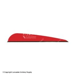 Q2i DV-X 4.0" Vanes -Archery Equipment Store 3350040 red