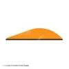 Q2i Griff-X 2.3" Vanes -Archery Equipment Store 33500480401